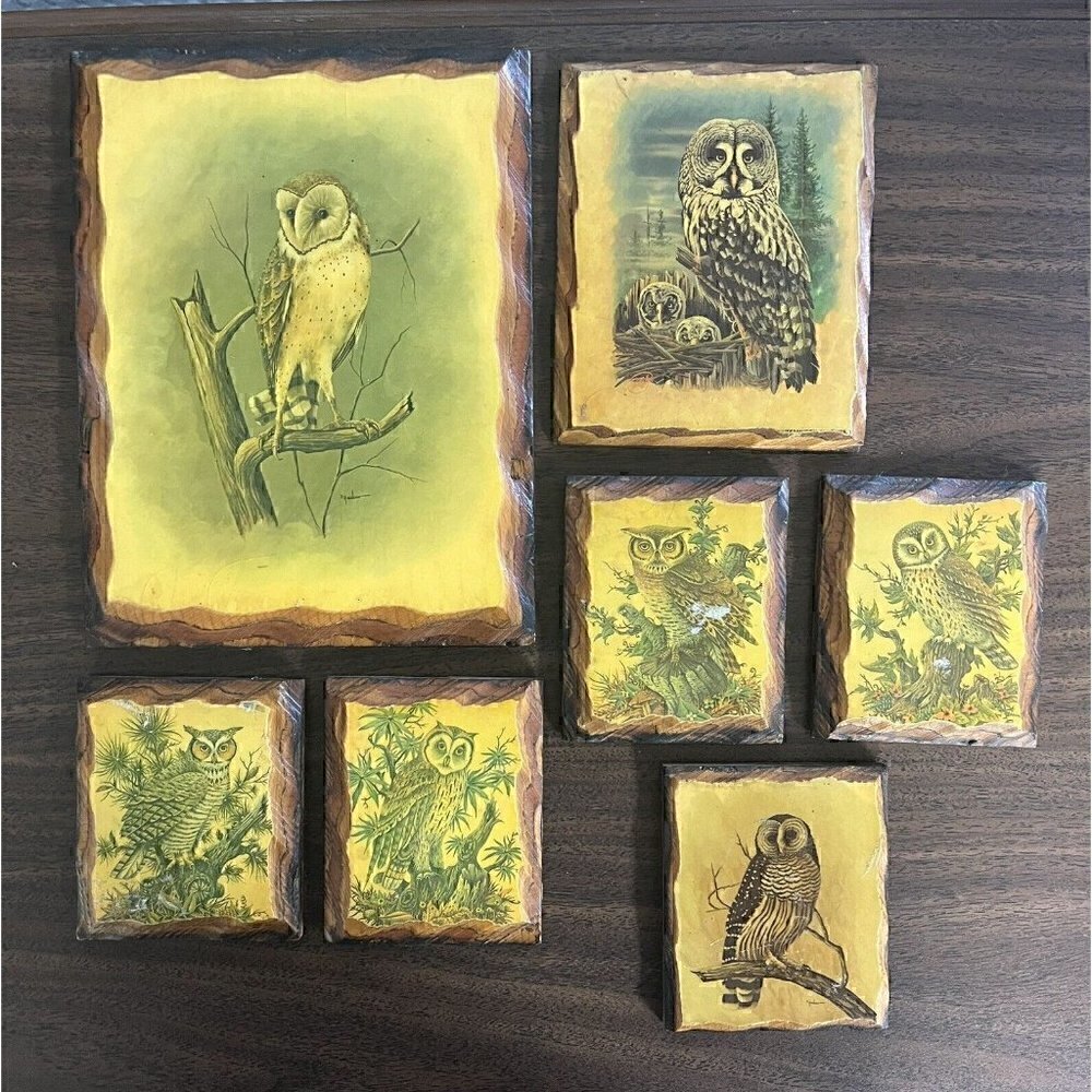Set Of 7 Vintage Owl Pictures On Wood. Various Sizes.